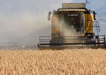 Düzenlenen kanunla tarımda üretim planlaması yapılacak