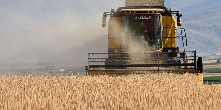 Düzenlenen kanunla tarımda üretim planlaması yapılacak