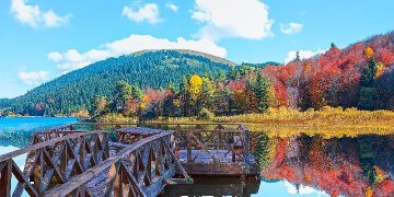 2024 vücut ve ruhu dinlendirmek için yapılan tatillerin yılı olacak