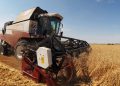 Türkiye, tarım yılının ilk yarısında Rusya’dan tahıl alımında liderliğini sürdürdü