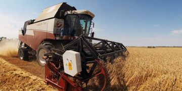 Türkiye, tarım yılının ilk yarısında Rusya’dan tahıl alımında liderliğini sürdürdü