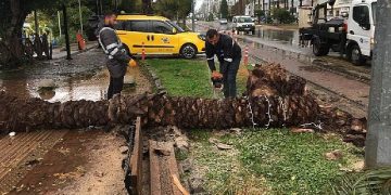 Antalya Büyükşehir teyakkuzdaydı