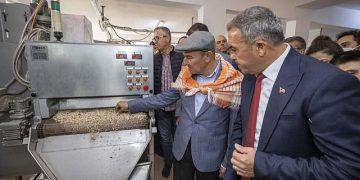 Beydağ’dan üretilen kestane unu çölyak hastalarına derman oluyor