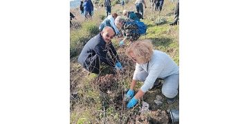 Bornova Belediyesi’nden arıcılara lavanta takviyesi