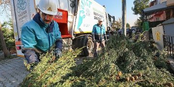 Budama atıkları gübre oluyor