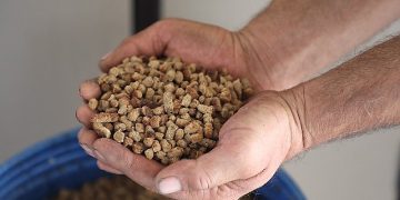 Büyükşehir Can Dostlar İçin Mama Üretiyor