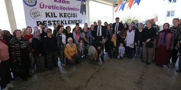 Büyükşehirden Seydikemer’li Bayan Üreticilere Kıl Keçesi Takviyesi