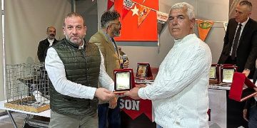 En güzel oyun kuşları hünerlerini gölcük’te sergiledi