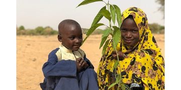 İşsizliğe karşı mango diktiler