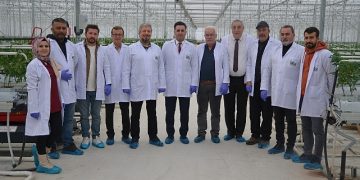 Konya jeotermal topraksız tarımın üssü oluyor