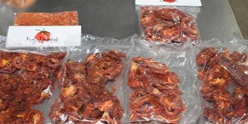 Meyve Zerzevat Kurutma Tesisi ile Dört Mevsim Üretim