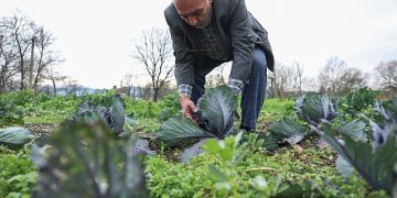 Nilüferli çiftçiler bilimsel üretimle kazanacak