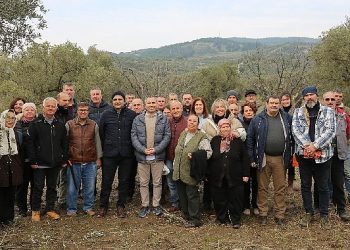 Ömür köyü toprak okulu’ndaki zeytin budama eğitimine çiftçilerden büyük ilgi