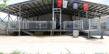 Sağlıklı ete ulaşım Büyükşehir Mezbahasında