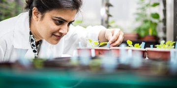 Türkiye ve Birleşik Krallık ortasındaki bilim iştirakleri ve araştırma iş birlikleri için 100 bin Sterlin fon takviyesi