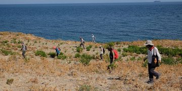 Türkiye’nin dört bir yanındaki kazılarla arkeolojik varlıklar gün yüzüne çıkarılıyor