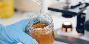 100.Yıl Besin Tahlil Laboratuvarı Açılışa Hazırlanıyor