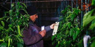 Antalya Büyükşehir’in çiftçiye takviyeleri sürüyor