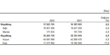 Büyükbaş hayvan sayısı bir evvelki yıla nazaran yüzde 2,6 azalarak 16 milyon 583 bin baş oldu