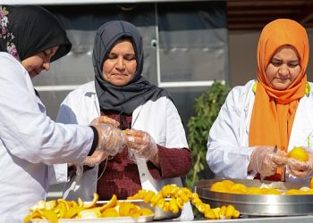 Büyükşehir turunçları reçele dönüştürüyor