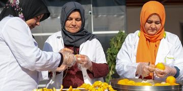 Büyükşehir turunçları reçele dönüştürüyor