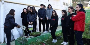 Ders ortasında fide ektiler