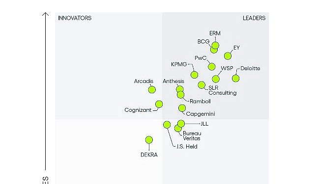 EY, ESG ve Sürdürülebilirlik Danışmanlığı alanında 2024 global pazar önderi oldu