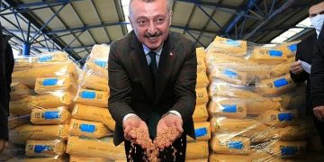 Kocaeli Büyükşehir’den çiftçilere tohum ve gübre dayanağı