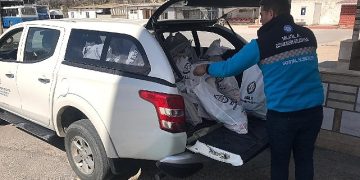 Muğla Büyükşehir Mor Ömür Projesi Devam Ediyor