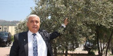 Sofralık zeytin ihracatı döviz bazında yüzde 52 arttı