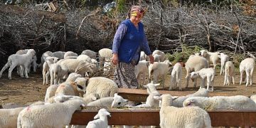 Süt üreticisine bembeyaz bir gelecek