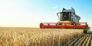 Türkiye Kalkınma ve Yatırım Bankası’ndan Türkiye Toplumsal Tesir Ekosisteminde bir birinci daha: Buğday Fiyatına Endeksli Sukuk İhracı