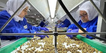 Türkiye organik eser ihracatında 1 milyar dolar hududunu aştı yeni ihracat amacı 2 milyar dolar