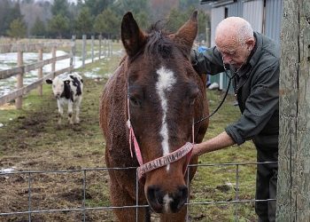 “Yetenekli Dr. Pol”un Yeni Dönemi Şubat Ayında National Geographic WILD Ekranlarında