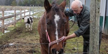 “Yetenekli Dr. Pol”un Yeni Dönemi Şubat Ayında National Geographic WILD Ekranlarında
