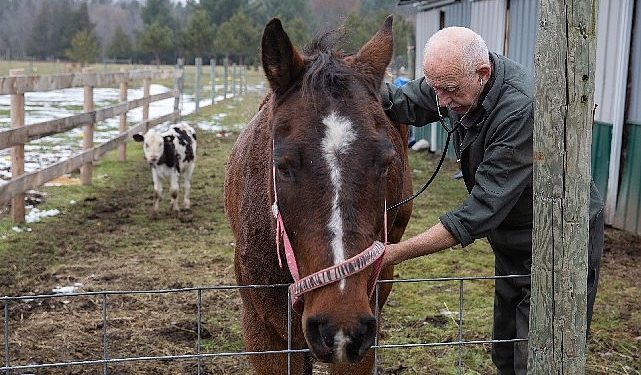 “Yetenekli Dr. Pol”un Yeni Dönemi Şubat Ayında National Geographic WILD Ekranlarında