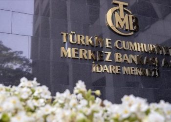 TCMB, dövizde alıma döndü