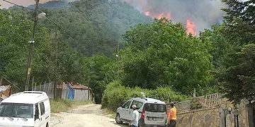 Muğla’da başlayan orman yangını Denizli’ye sıçradı