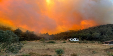 Yurdun çeşitli bölgelerinde çıkan orman yangınlarına müdahaleler devam ediyor