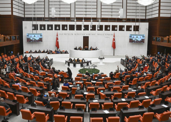 10 soru 10 cevap: İşte sokak hayvanlara yasası!