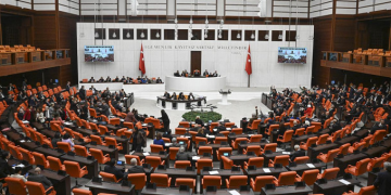 10 soru 10 cevap: İşte sokak hayvanlara yasası!