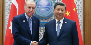 Cumhurbaşkanı Erdoğan, Çin lideri Şi ile görüştü