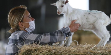 Yunanistan’da ‘veba’ tedbirleri
