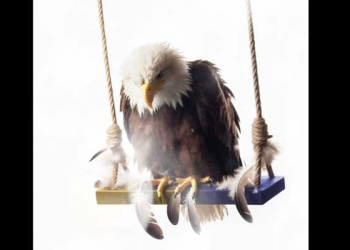 Beşiktaş’tan Galatasaray’a ‘salıncak’ yanığtı: Edebinle sevin