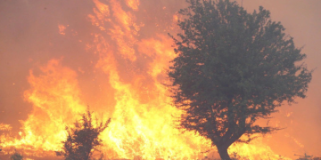 Meteoroloji açıkladı: Yangın bölgelerinde hava nasıl olacak?