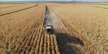 Tarım üretici enflasyonu aylık azaldı, yıllık arttı