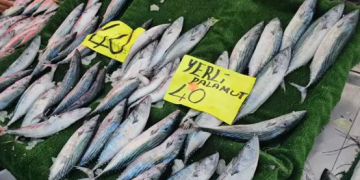 4 günde 100 ton yakalandı! Fiyatı 40 liraya indi
