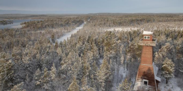 Norveç’ten Rus sınırına tel örgü planı