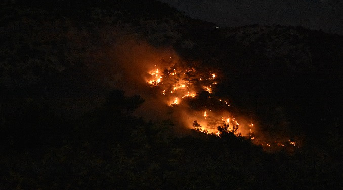 İzmir’de orman yangını