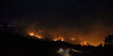 Muğla’da ormanlık alanda yangın